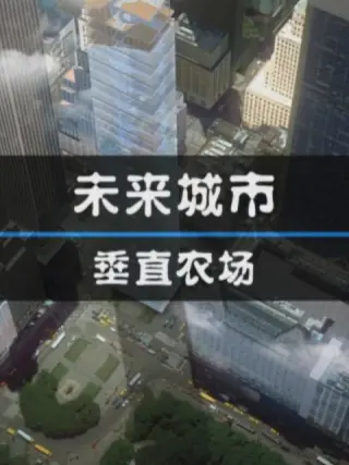 未来城市:垂直农场